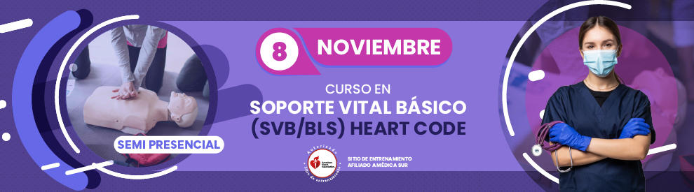 Curso en Soporte Vital Básico SVB BLS