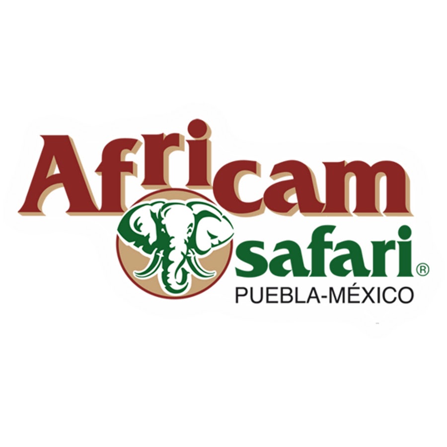 Africam Safari